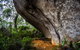 Porongurup Nature & History Eco Tour - thumb 0