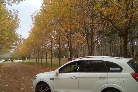 Customisable Wine Tour On A Budget For A Group Up To 6 People - Accommodation Bookings 1