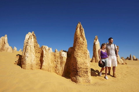 Half Day Pinnacles Sunset Tour - Accommodation Bookings 7