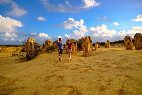 Half Day Pinnacles Sunset Tour - Accommodation Bookings 3