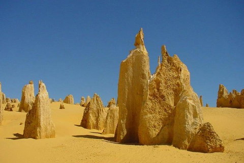 Half Day Pinnacles Sunset Tour - Accommodation Bookings 5