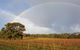 5 Hours Wineries, Coffee Tasting, Forest & Lunch At The Berry Farm - thumb 20