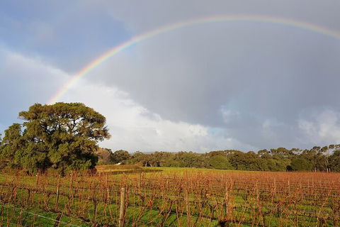 5 Hours Wineries, Coffee Tasting, Forest & Lunch At The Berry Farm - Accommodation Bookings 20