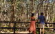 5 Hours Wineries, Coffee Tasting, Forest & Lunch At The Berry Farm - thumb 11
