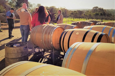 5 Hours Wineries, Coffee Tasting, Forest & Lunch At The Berry Farm - Accommodation Bookings 2