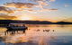 Lake Argyle Sunset Magic Cruise Departing Lake Argyle - thumb 0