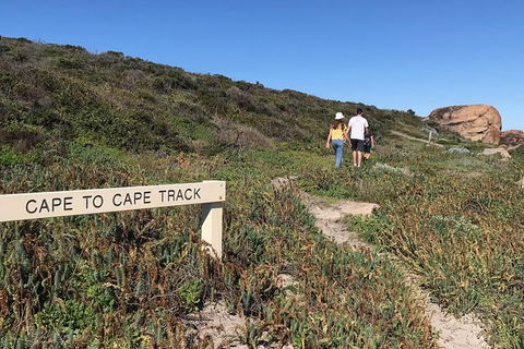 Tastes Of Margaret River Variety Tour - Accommodation Bookings 7