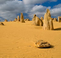 The Pinnacles Sea and Dunescapes Bush Reserve and Sunset Day Tour - Accommodation Bookings