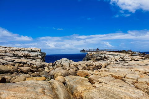 Torndirrup National Park And Bay Highlights - Accommodation Bookings 1