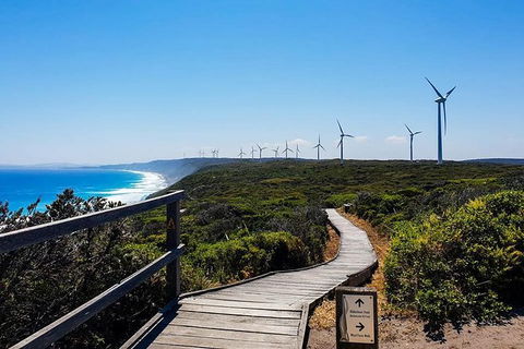 Torndirrup National Park And Bay Highlights - Accommodation Bookings 0