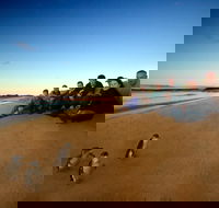 Phillip Island Ultimate Penguin Eco Tour or Skybox Experience - Accommodation Bookings