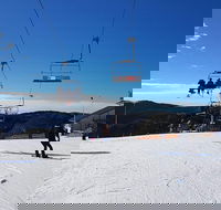 Mt. Buller Ski Tour from Melbourne - Accommodation Bookings