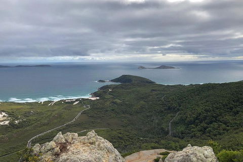 Wilsons Promontory Walking And Sightseeing Tour From Phillip Island - Accommodation Bookings 7