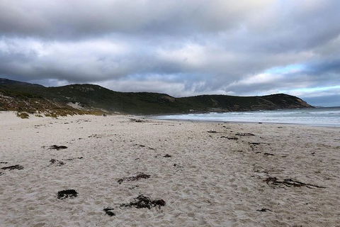 Wilsons Promontory Walking And Sightseeing Tour From Phillip Island - Accommodation Bookings 11