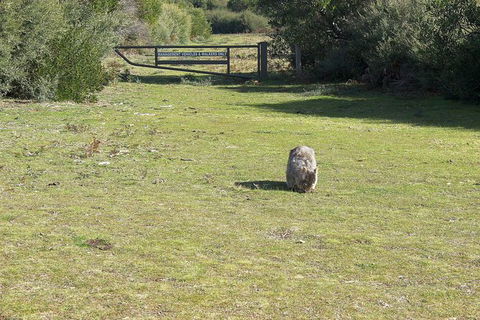 Wilsons Promontory Walking And Sightseeing Tour From Phillip Island - Accommodation Bookings 9