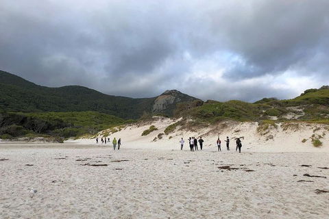 Wilsons Promontory Walking And Sightseeing Tour From Phillip Island - Accommodation Bookings 4