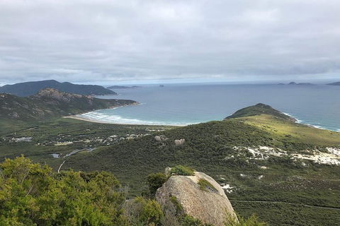 Wilsons Promontory Walking And Sightseeing Tour From Phillip Island - Accommodation Bookings 12