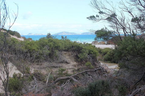 Wilsons Promontory Walking And Sightseeing Tour From Phillip Island - Accommodation Bookings 14