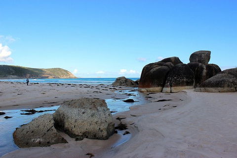 Wilsons Promontory Walking And Sightseeing Tour From Phillip Island - Accommodation Bookings 10