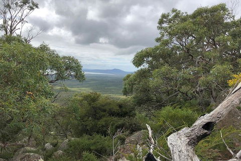 Wilsons Promontory Walking And Sightseeing Tour From Phillip Island - Accommodation Bookings 13