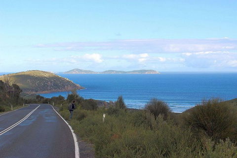 Wilsons Promontory Walking And Sightseeing Tour From Phillip Island - Accommodation Bookings 2