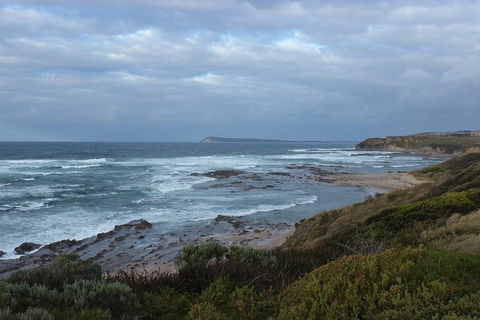 Wilsons Promontory Day Trip From Phillip Island - Accommodation Bookings 1