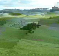 Day Tour of Phillip Island  Surrounding Region - Accommodation Bookings