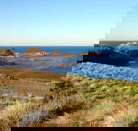 Phillip Island Walking  Bird Watching Tour - Accommodation Bookings