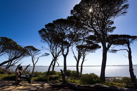 2 Day Exclusively Private Tour Of Phillip Island & The Penguin Parade - Accommodation Bookings 9