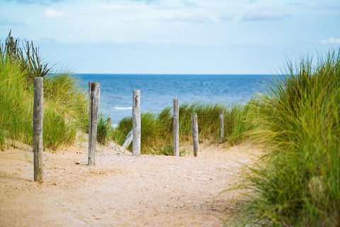 2 Day Exclusively Private Tour Of Phillip Island & The Penguin Parade - Accommodation Bookings 3