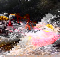 Whitewater Sports rafting on the Yarra river - Accommodation Bookings