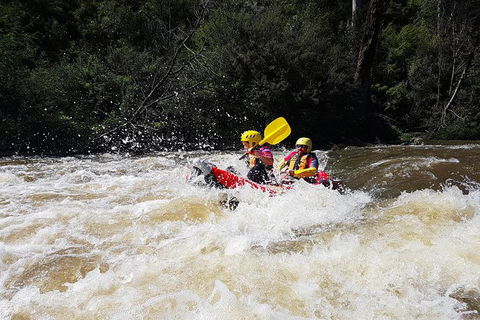 Whitewater Sports Rafting On The Yarra River - Accommodation Bookings 5