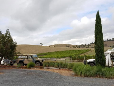 Private Tour: Yarra Valley Wineries With Wine Tastings - Accommodation Bookings 3
