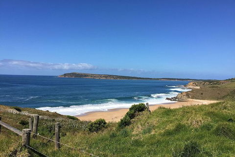George Bass Coastal Walk - Accommodation Bookings 5