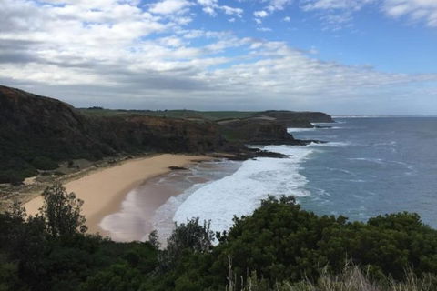 Phillip Island, George Bass Coastal Walk And Penguins Tour - Accommodation Bookings 0