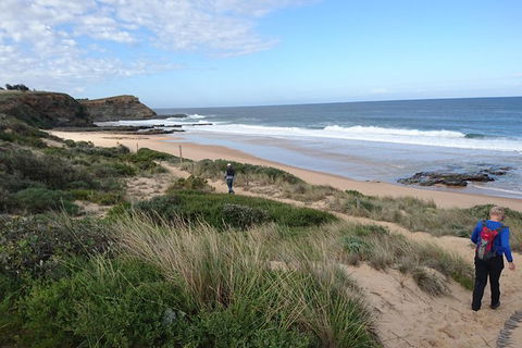 Phillip Island, George Bass Coastal Walk And Penguins Tour - Accommodation Bookings 4