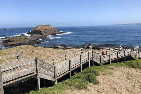 Phillip Island, George Bass Coastal Walk And Penguins Tour - Accommodation Bookings 7