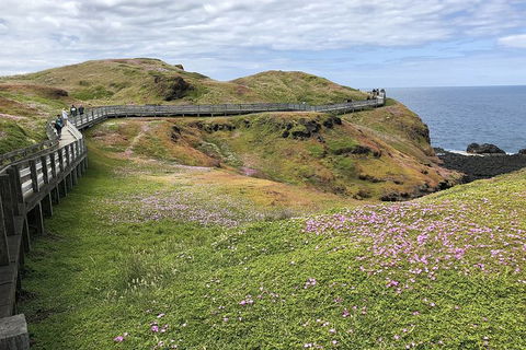 Phillip Island, George Bass Coastal Walk And Penguins Tour - Accommodation Bookings 6