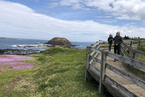 Phillip Island, George Bass Coastal Walk And Penguins Tour - Accommodation Bookings 12