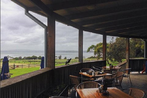 Day Tour Of Phillip Island, The Surrounding Region And Wine Tasting - Accommodation Bookings 1