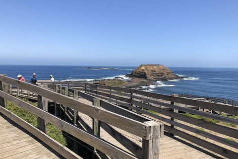 Day Tour Of Phillip Island, The Surrounding Region And Wine Tasting - Accommodation Bookings 14