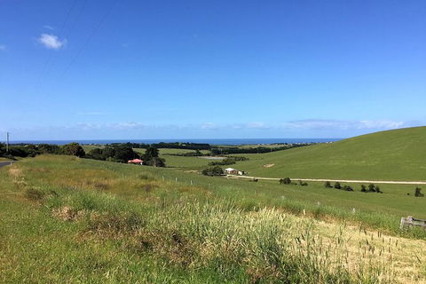 Day Tour Of Phillip Island, The Surrounding Region And Wine Tasting - Accommodation Bookings 6