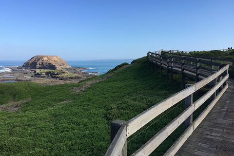Day Tour Of Phillip Island, The Surrounding Region And Wine Tasting - Accommodation Bookings 11