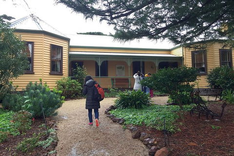 Day Tour Of Phillip Island, The Surrounding Region And Wine Tasting - Accommodation Bookings 12
