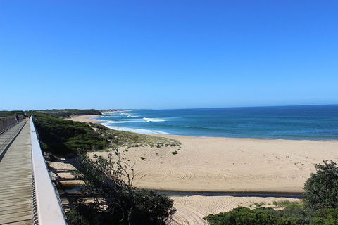 Day Tour Of Phillip Island, The Surrounding Region And Wine Tasting - Accommodation Bookings 4