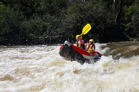 White-Water Kayaking On The Yarra River - Accommodation Bookings 1