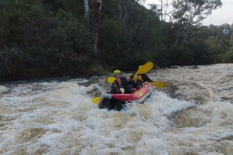 White-Water Kayaking On The Yarra River - Accommodation Bookings 5