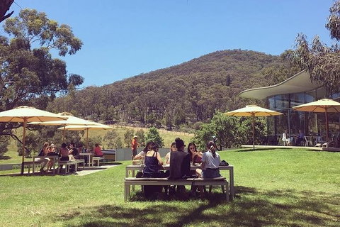 CHEVY CONVERTIBLE Package For 2 People- Wine Lunch Cheese & Chocolate From Melb. - Accommodation Bookings 6