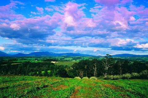 CHEVY CONVERTIBLE Package For 2 People- Wine Lunch Cheese & Chocolate From Melb. - Accommodation Bookings 7