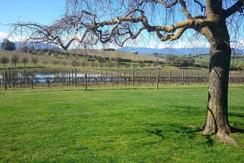 CHEVY CONVERTIBLE Package For 2 People- Wine Lunch Cheese & Chocolate From Melb. - Accommodation Bookings 4